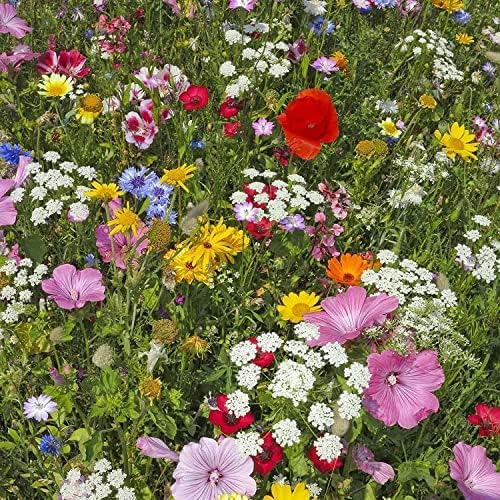Pollinator Wildflower Seeds Bulk – 1 lb, 640,000+ Seeds – 23 Variety Mix for Hummingbirds & Butterflies – Non-GMO Annual & Perennial Flower Seed for Planting