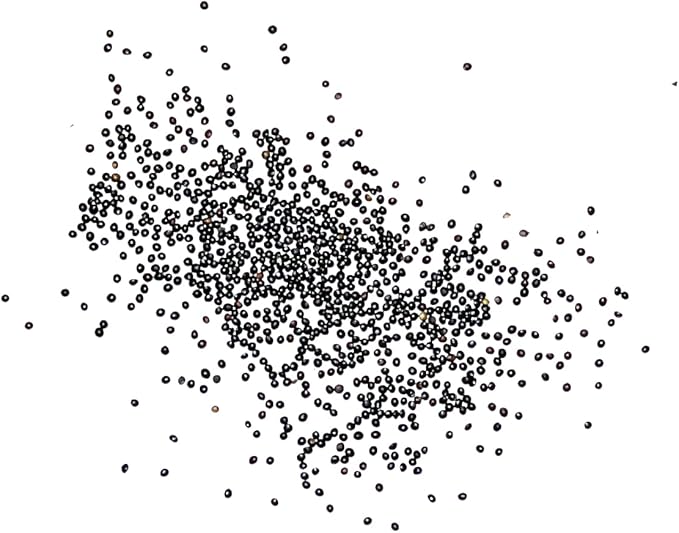 Seed Needs Coleus Seeds for Planting Rainbow Mixture - Heirloom & Open Pollinated Plants Prefer Partial Shade Indoors/Outdoors (2 Packs)