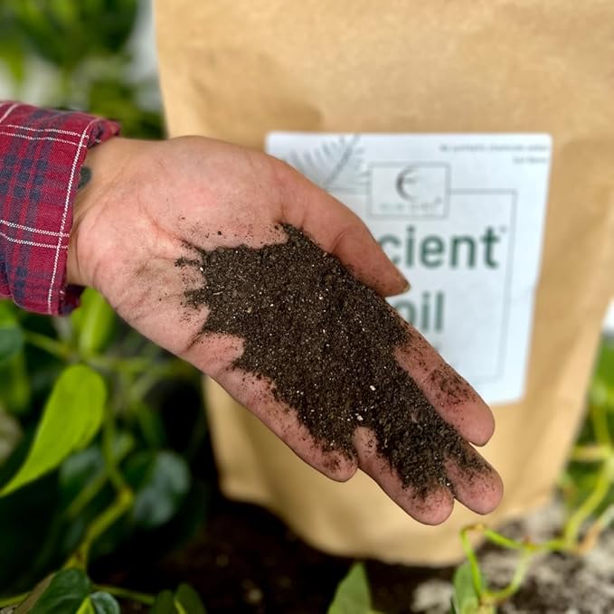 Elm Dirt Premium Ancient Soil for All Plants - Organic Plant Soil for Outdoor Plants & Indoor Plant Soil | Garden Soil for Plant Nutrients Growth & Protect your Plants Bugs - Roots Organic Soil, 10lbs