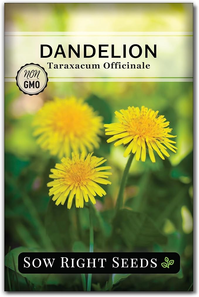 Sow Right Seeds - Common Dandelion Seeds for Planting - Non-GMO Heirloom Packet with Instructions to Grow an Outdoor or Indoor Herb Garden - Herbal Teas & Medicinal Uses - Great for Wildlife (1)