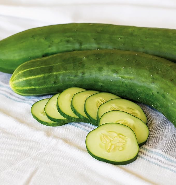 Burpee 'Sweet Success' Slicing Cucumber Seeds, 20 Non-GMO seeds