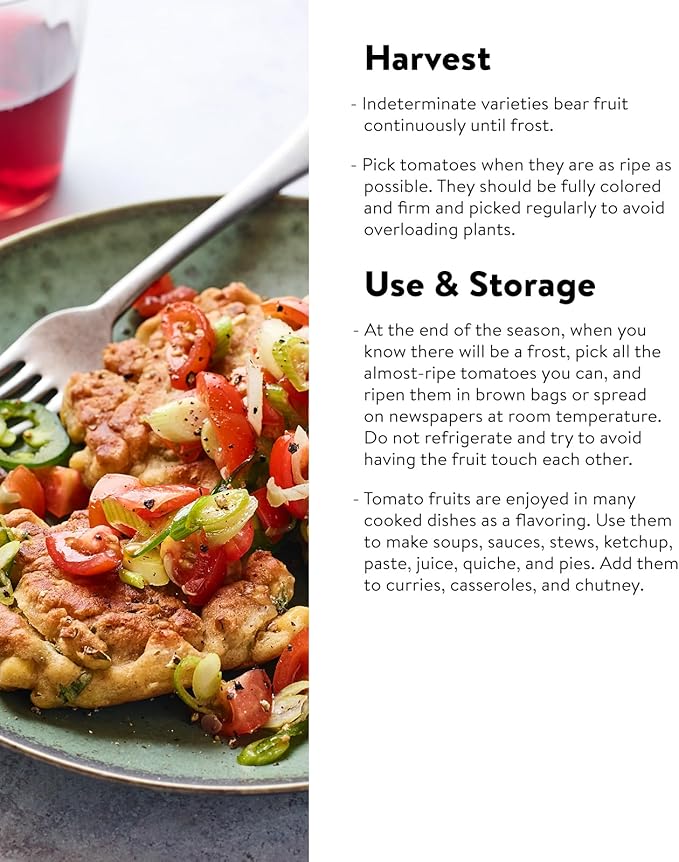 Burpee 'Napa Grape', Tomato Seeds, 30 Non-GMO Seeds