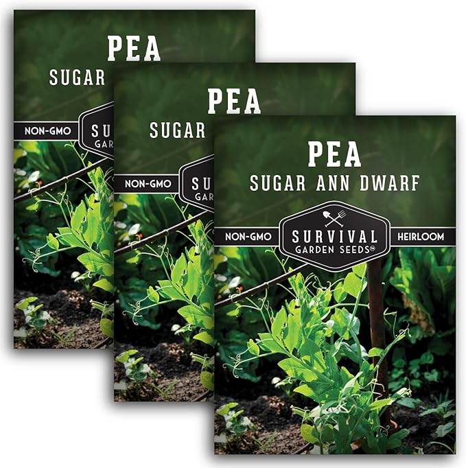 Sugar Ann Dwarf Pea Seed for Planting - 3 Packets with Instructions to Plant and Grow Sweet Snap Peas in Your Home Vegetable Garden - Non-GMO Heirloom Variety - Survival Garden Seeds