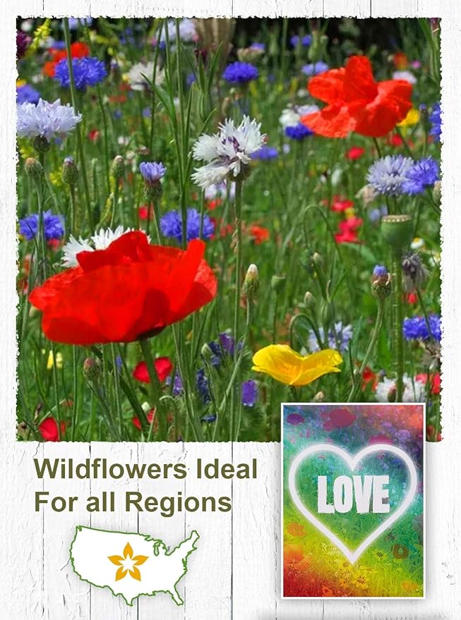 American Meadows Wildflower Seed Packets ''Love'' Party Favors (Pack of 20) - Wildflower Seed Mix, Party Favors for Weddings, Valentine's Day, Anniversaries, Thank You