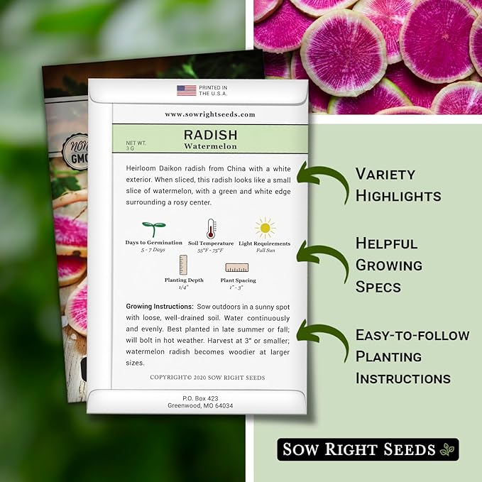 Sow Right Seeds - Watermelon Radish Seed for Planting - Non-GMO Heirloom Packet with Instructions to Plant a Home Vegetable Garden - Unique & Rare Veggie, Watermelon-Like Coloring When Cut (2)