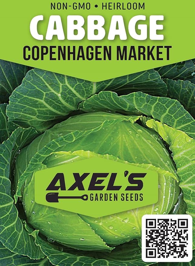 Cabbage Seeds for Planting – Non-GMO Heirloom Vegetable Seeds – Full Instruction Packets to Plant in Your Home Outdoor Garden – Gardening Gift – 200 Copenhagen Cabbage Seeds Per Pack (3 Packets)