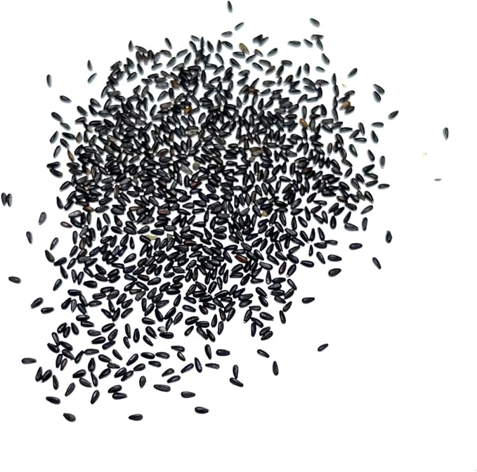 Seed Needs Lemon Balm Seeds for Planting - Non-GMO, Heirloom & Untreated Perennial Medicinal Herb - Plant Indoors/Outdoors Used for Making Calming Tea (1 Pack)