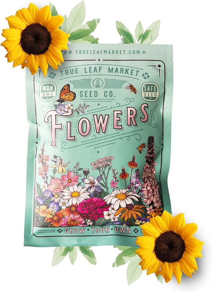 400+ Huge Organic Mammoth Grey Stripe Sunflower Seeds for Planting - Helianthus annuus - Attract Hummingbirds, Butterflies, Bees, & More - Large Flowers Produce Edible Seeds - Bulk Sun Flower Garden
