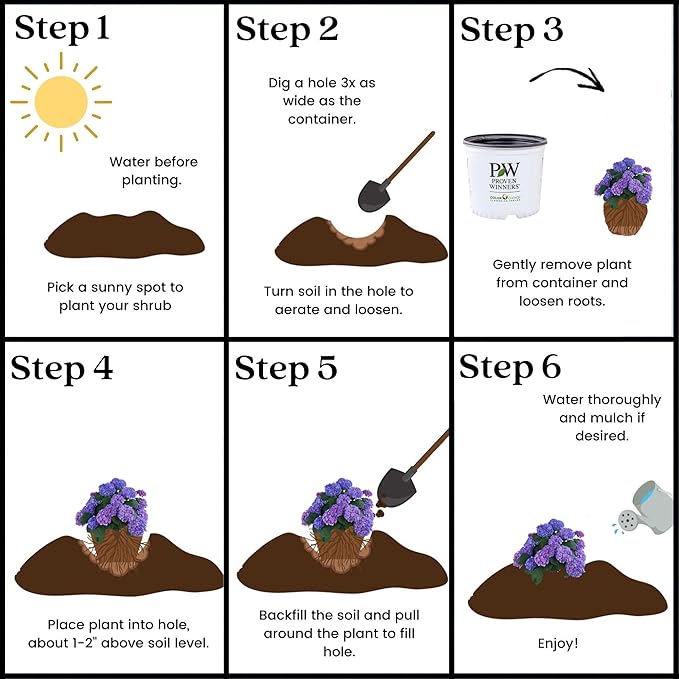 2 Gallon Proven Winners Hydrangea Let’s Dance Rhythmic Blue Shrub