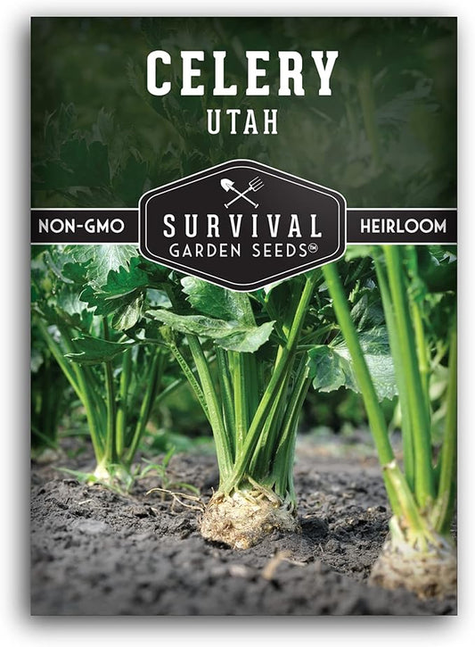 Utah Celery Seed for Planting - Packet with Instructions to Plant & Grow Delicious Celery Plants in Your Home Vegetable Garden - Tender Crisp Non-GMO Heirloom Variety - Survival Garden Seeds