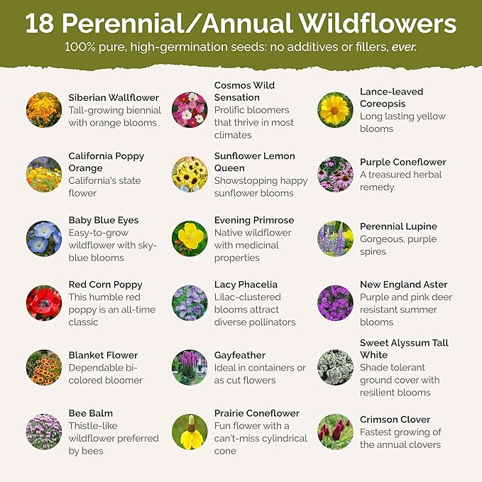 Eden Brothers Hawaii Wildflower Mixed Seeds for Planting, 1 lb, 480,000+ Seeds with Sunflower, Coneflower | Attracts Pollinators, Plant in Spring or Fall, Zones