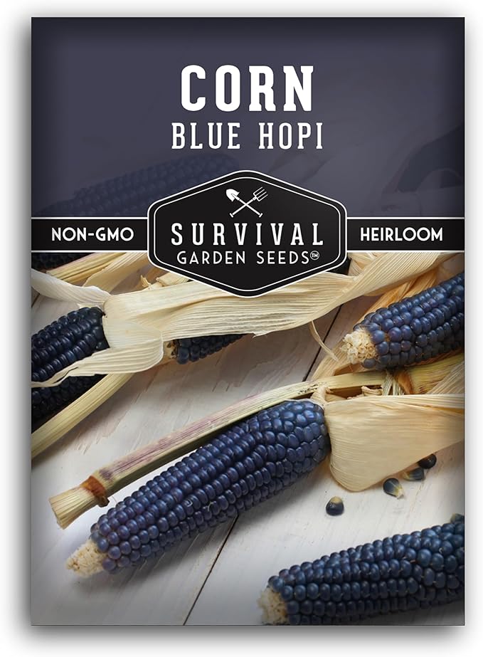 Blue Hopi Corn Seeds for Planting - 1 Packet with Instructions to Plant and Grow Heritage Blue Maize in Your Home Vegetable Garden - Non-GMO Heirloom Variety - Survival Garden Seeds