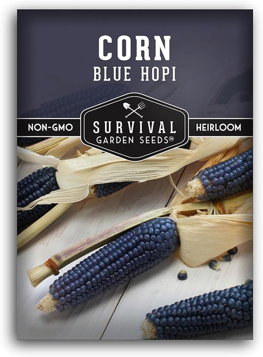 Blue Hopi Corn Seeds for Planting - 1 Packet with Instructions to Plant and Grow Heritage Blue Maize in Your Home Vegetable Garden - Non-GMO Heirloom Variety - Survival Garden Seeds