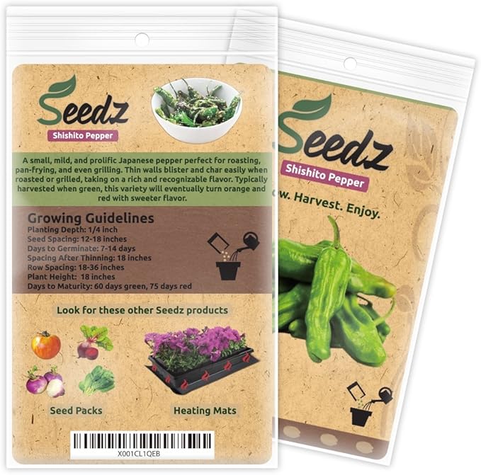 Organic Shishito Pepper Seeds (Approx. 55), 94% Germination Rate, Heirloom Vegetable Seeds, Certified Organic, Non GMO, Non Hybrid, USA