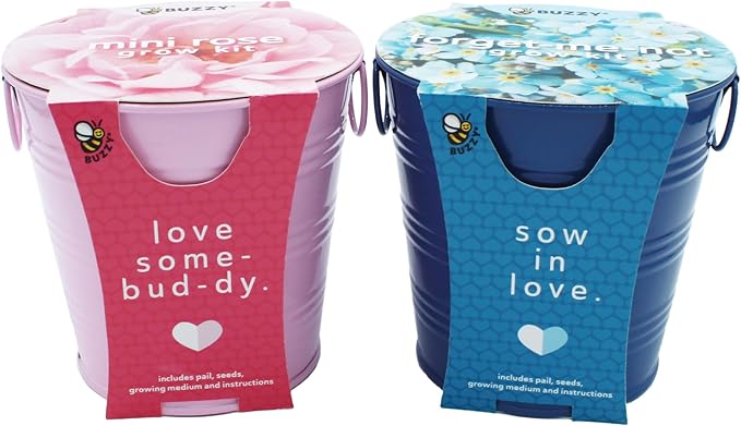 Buzzy Seeds Painted Love Pails | Flower Starter Kit for Kids & Adults | 2-Pack | Mini Rose and Forget-Me-Not Seeds | Guaranteed to Grow | Best Indoor Grow Your Own Plant Gardening Gift