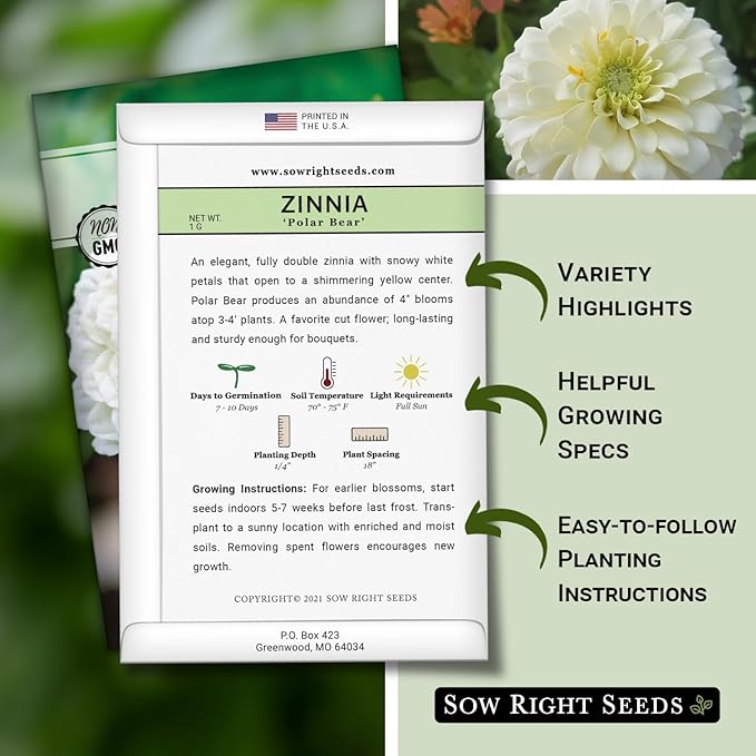 Sow Right Seeds - Zinnia Polar Bear Flower Seeds for Planting - Beautiful Flowers to Plant in Your Home Garden - Non-GMO Heirloom Packet - White Blooms Attract Pollinators - Cut and Come Again (2)