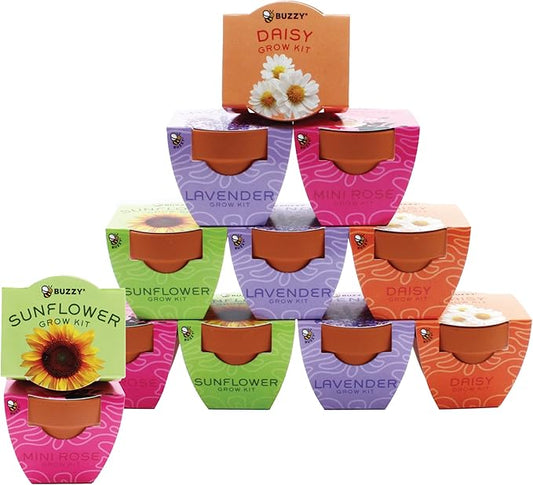 BUZZY Seeds Terracotta Mini Grow Pots | Herb, Plant, Flower Starter Kit for Kids & Adults | Assorted 12-Pack, Bright Series Collection | Guaranteed to Grow | Best Indoor-Outdoor Gardening Gift