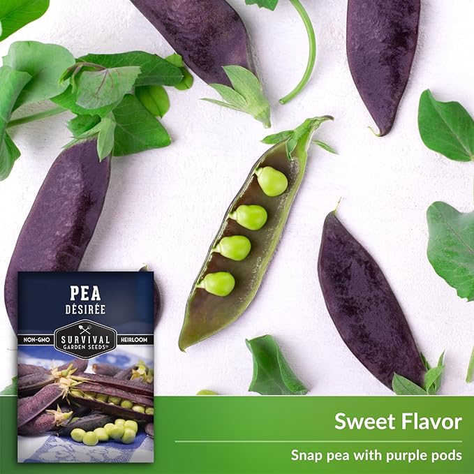 Desiree Pea Seed for Planting - 1 Packet with Instructions to Plant and Grow Delicious Purple-Podded Snap Peas in Your Home Vegetable Garden - Non-GMO Heirloom Variety - Survival Garden Seeds