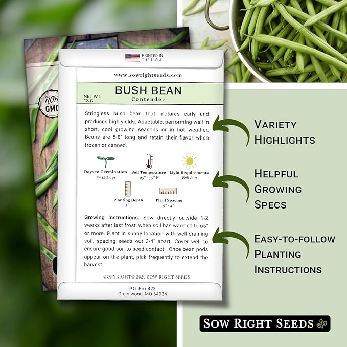 Sow Right Seeds - Contender Bush Green Bean Seeds for Planting - Non-GMO Heirloom Seed Packet - Stringless Variety to Plant an Outdoor Home Vegetable Garden - Abundant Harvest, Great for Kids (3)