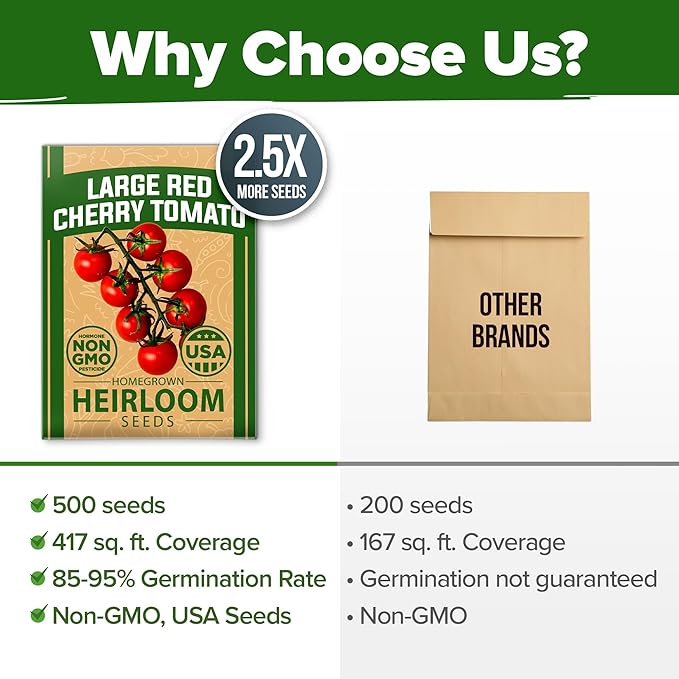 HOME GROWN Large Red Cherry Tomato Seeds Pack -500 Non-GMO Heirloom Tomato Seeds for Planting (Solanum lycopersicum) Vegetable Seeds for Homesteading, Sustainable Living, and Self-Sufficient Gardening
