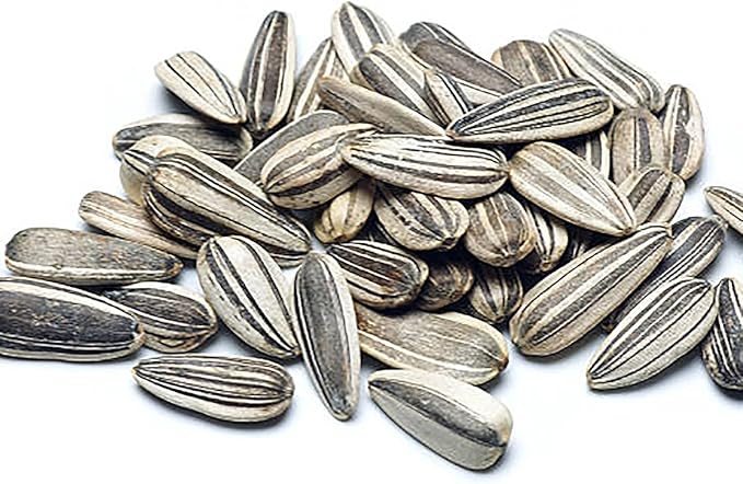 Rouge Royale Sunflower Seeds - Red Sunflower…