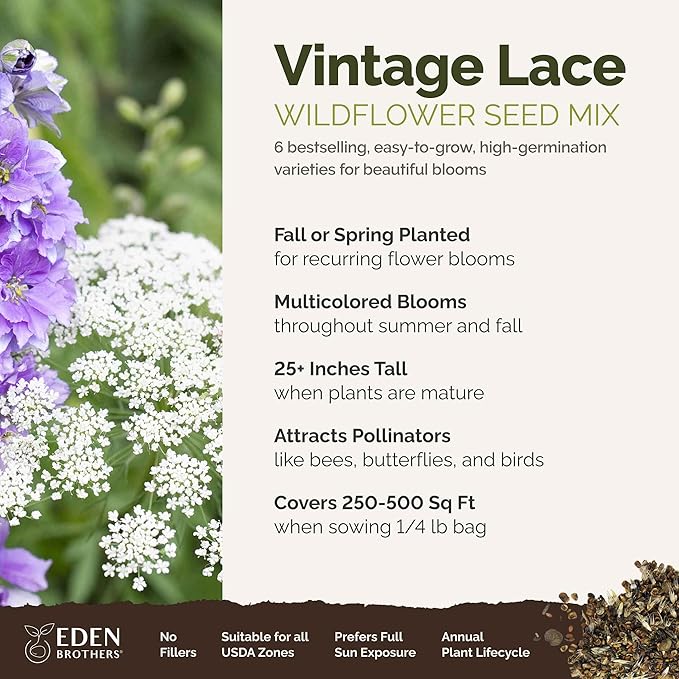 Eden Brothers Vintage Lace Flower Mixed Seeds for Planting, 1/4 lb, 120,000+ Seeds with Cosmos Gloria, Bishop's Flower, Snapdragon, Attracts Pollinators, Plant in Spring, Zones 3, 4, 5, 6, 7, 8, 9, 10