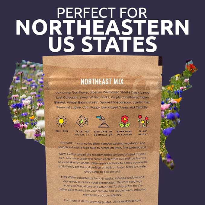 Northeast Wildflower Seeds - Bulk 1/4 Pound Bag - Over 30,000 Native Seeds - Open Pollinated and Non GMO Varieties for New York, Virginia, Pennsylvania, Maine and More!