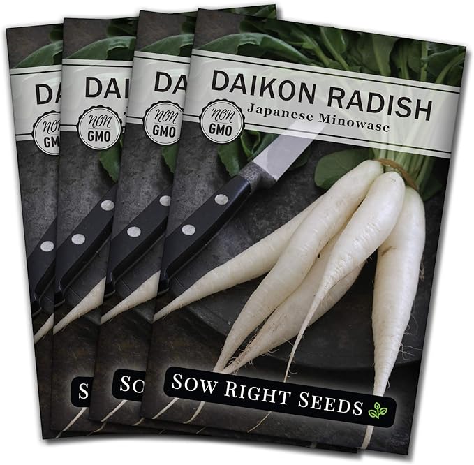 Sow Right Seeds - Japanese Minowase Daikon Radish Seeds for Planting - Non-GMO Heirloom Packet with Instructions to Plant a Home Vegetable Garden - Spring or Fall Planting Outdoors - Long White (4)
