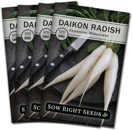Sow Right Seeds - Japanese Minowase Daikon Radish Seeds for Planting - Non-GMO Heirloom Packet with Instructions to Plant a Home Vegetable Garden - Spring or Fall Planting Outdoors - Long White (4)
