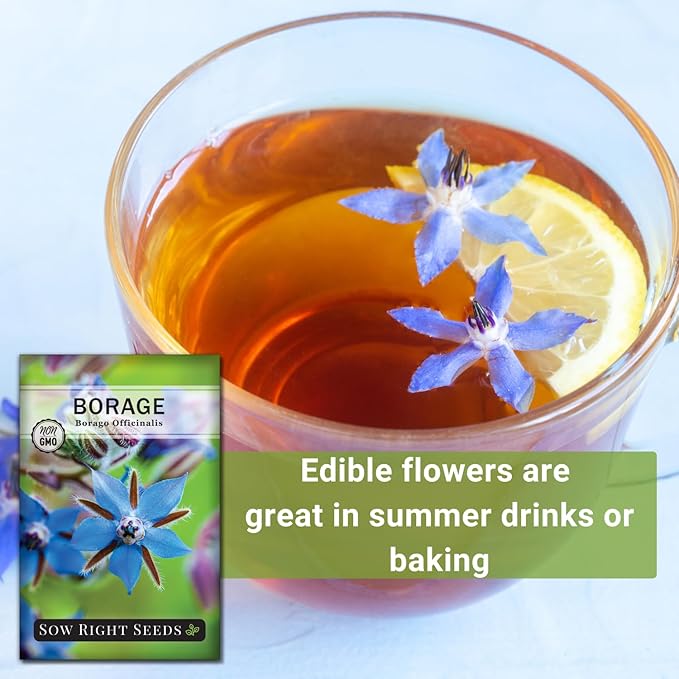 Sow Right Seeds - Borage Seed to Plant - Non-GMO Heirloom Seeds - Full Instructions for Easy Planting and Growing a Kitchen Herb Garden - Indoors or Outdoor - Great Gardening Gift (3)