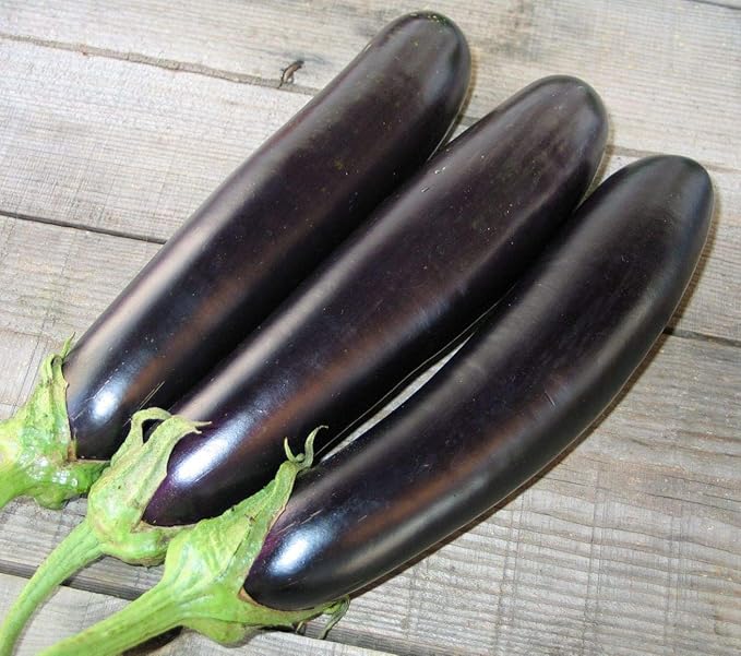 Seeds Eggplant Long Pop - Heirloom Vegetable - GMO Free