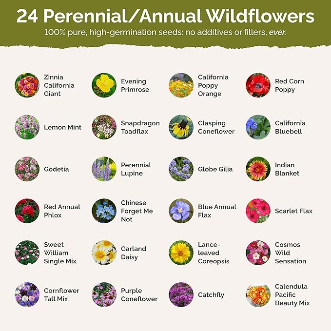Eden Brothers Heirloom Flower Mixed Seeds for Planting, 1/4 lb, 120,000+ Seeds with Zinnia, Toadflax, Evening Primrose | Attracts Pollinators, Plant in Spring or Fall, Zones 3, 4, 5, 6, 7, 8, 9, 10