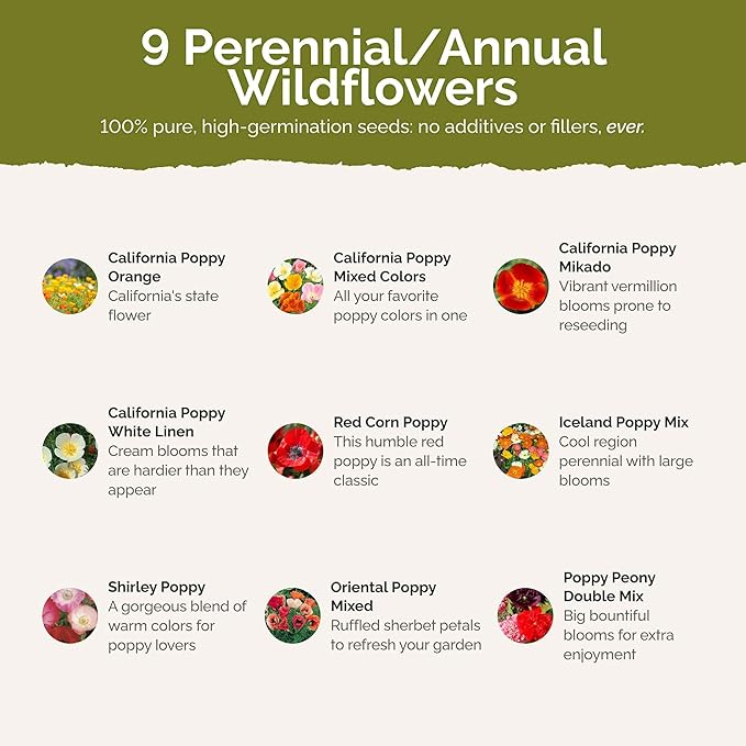 Eden Brothers Poppy Power Flower Mixed Seeds for Planting, 5 lb, 2,400,000+ Seeds with Red Corn, Iceland, California Poppy, Attracts Pollinators, Plant in Spring or Fall, Zones 3, 4, 5, 6, 7, 8, 9, 10