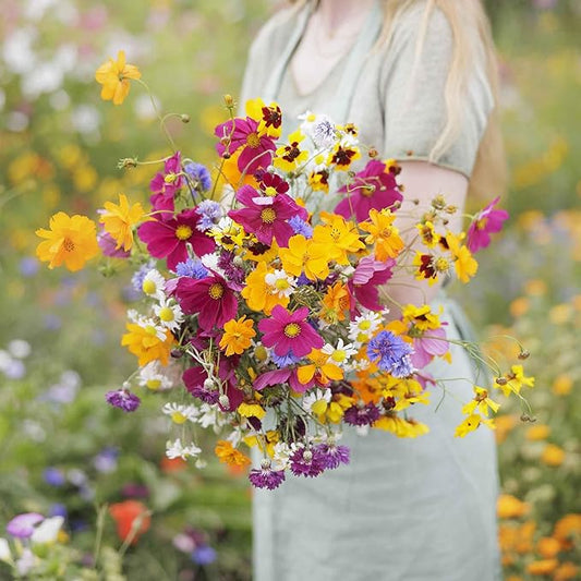 Eden Brothers Midwest Wildflower Mixed Seeds for Planting, 25 lb, 12,000,000+ Seeds with Cornflower, Candytuft, Mexican Hat, Attracts Pollinators, Plant in Spring or Fall, Zone 3, 4, 5, 6, 7, 8, 9, 10