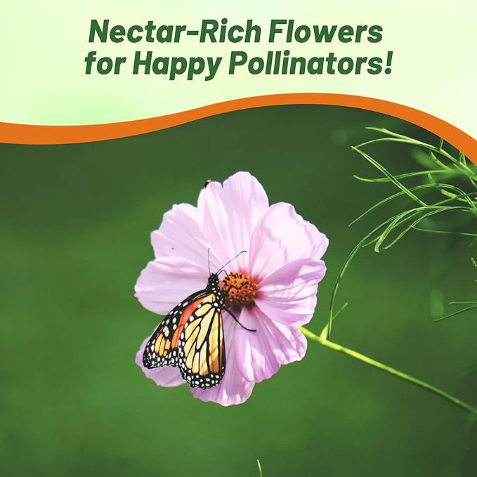 Outsidepride 1000 Seeds Annual Cosmos Bipannatus Day Dream Pink Cut Flower Seeds for Planting