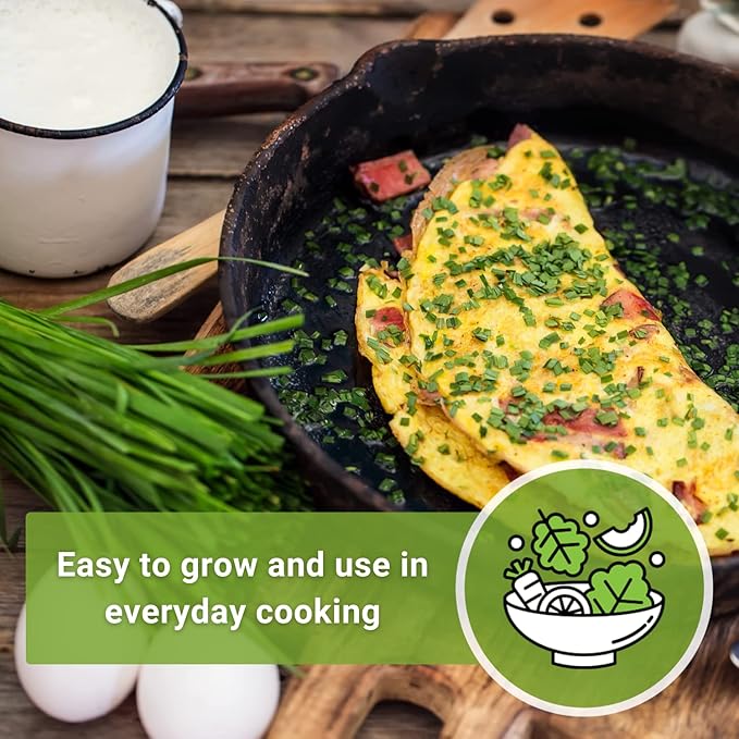 Sow Right Seeds - Common Chives Seed for Planting - Non-GMO Heirloom Packet with Instructions to Plant and Grow Kitchen Herb Garden Indoor or Outdoor - Mild Onion Flavor (3)