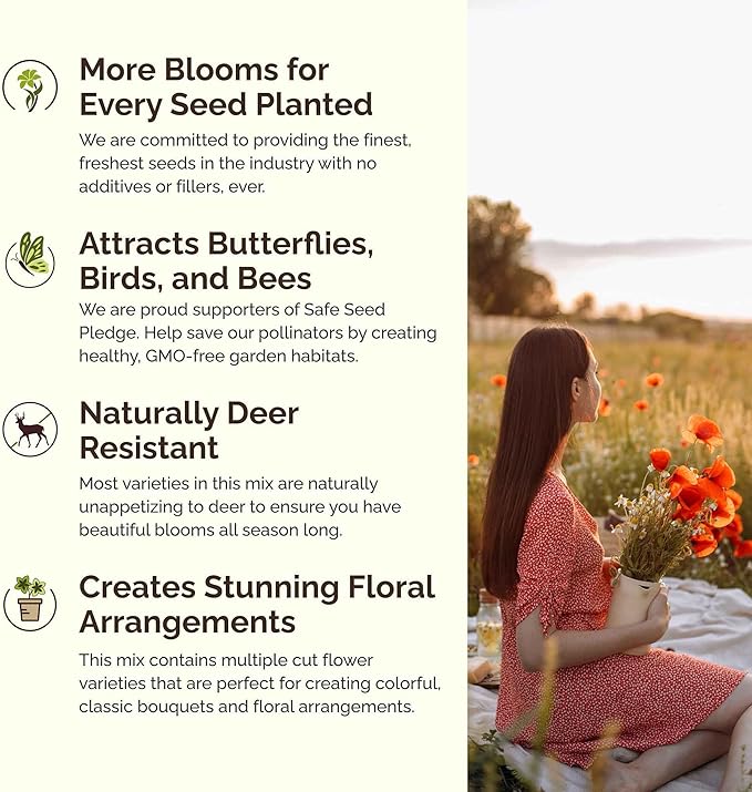 Eden Brothers California Wildflower Mixed Seeds for Planting, 1 lb, 480,000+ Seeds with Black Eyed Susan, Shasta Daisy | Attracts Pollinators, Plant in Spring or Fall, Zones 3, 4, 5, 6, 7, 8, 9, 10