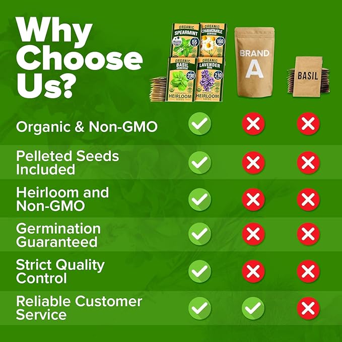 HOME GROWN 15 Organic Herb Seeds Variety Pack 2,500+ Non GMO, High-Germinating, Heirloom Seeds for Planting Indoor or Outdoor Herb Garden, Hydroponics Garden Seeds, Basil, Cilantro & More