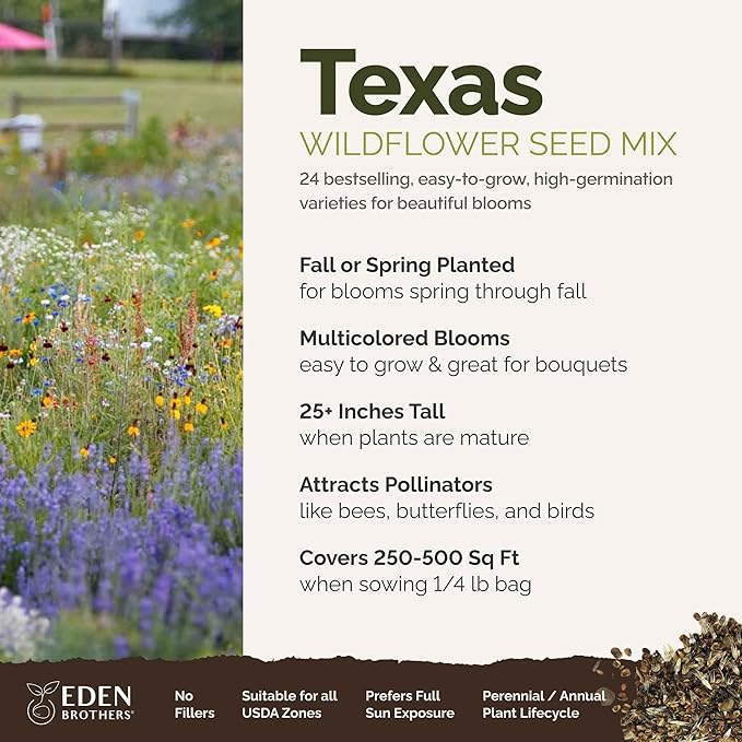 Eden Brothers Texas Wildflower Mixed Seeds for Planting, 1/4 lb, 120,000+ Seeds with Cornflower, Birds Eyes, African Daisy, Attracts Pollinators, Plant in Spring or Fall, Zones 3, 4, 5, 6, 7, 8, 9, 10
