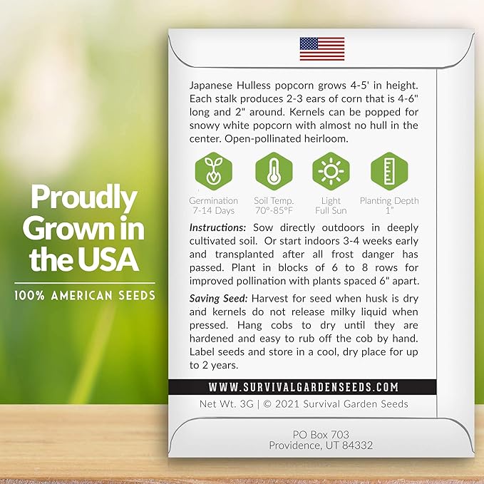 Survival Garden Seeds - Japanese Hulless Popcorn Seed for Planting - 5 Packs with Instructions to Plant & Grow Delicious Kernel Popcorn in Your Home Vegetable Garden - Non-GMO Heirloom Variety Seed