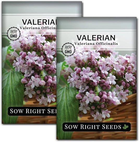 Sow Right Seeds - Valerian Seeds for Planting - Non-GMO Heirloom Packet with Instructions to Plant an Outdoor Herb Garden - Fragrant with Medicinal Benefits - Valerian Root for Sleep & Calm (2)