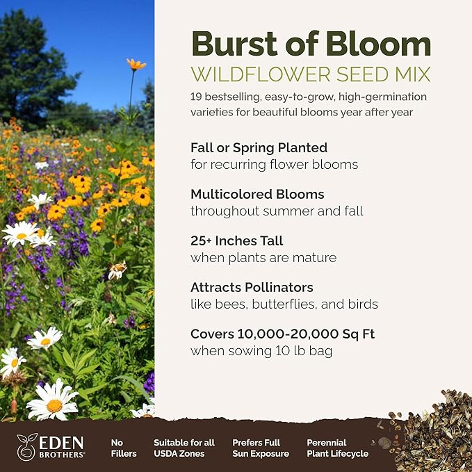 Eden Brothers Burst of Bloom Wildflower Mixed Seeds for Planting, 10 lb, 4,800,000+ Seeds with Cosmos, Black Eyed Susan | Attracts Pollinators, Plant in Spring or Fall, Zones 3, 4, 5, 6, 7, 8, 9, 10