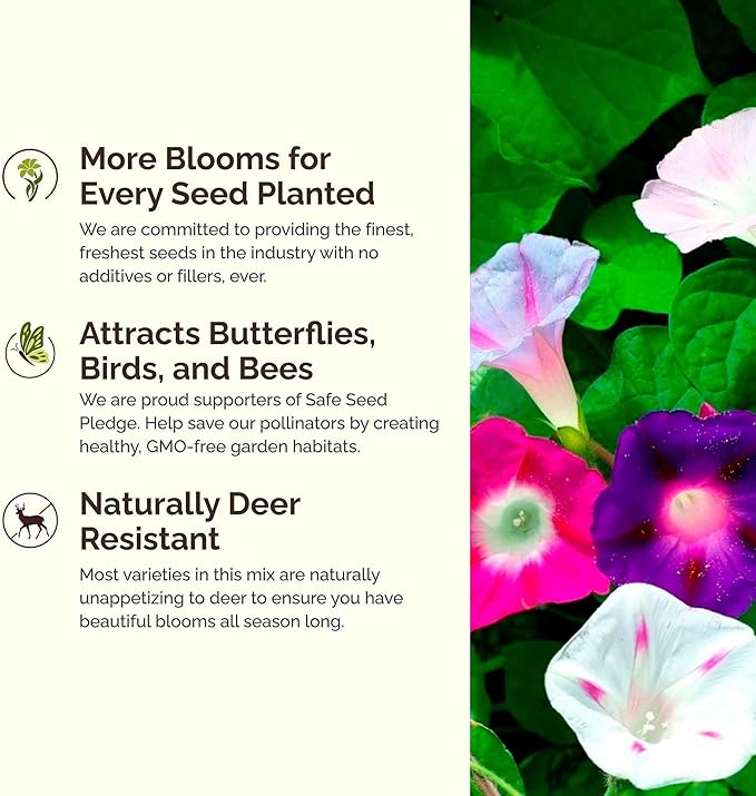 Eden Brothers Top O The Morning Flower Mixed Seeds for Planting, 10 lb, 4,800,000+ Seeds with Morning Glory, Moonflower | Attracts Pollinators, Plant in Spring or Fall, Zones 3, 4, 5, 6, 7, 8, 9, 10