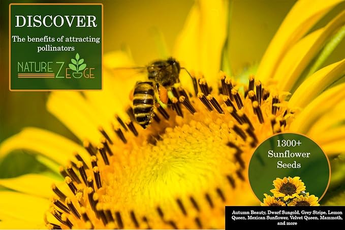 NatureZ Edge 2600+ Sunflower Seeds for Planting Bulk Variety Pack, Get More Sunflower Seeds to Plant, from Dwarf Sunflowers to Giant Sunflower Seeds, Includes Mammoth Sunflower Seeds, Non-GMO