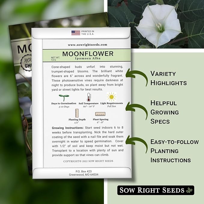Sow Right Seeds - Moonflower (Ipomoea alba) Flower Seeds for Planting - Beautiful Flowers to Plant in Your Home Garden - Non-GMO Heirloom Seeds - Tall Annual Great for Cut Flowers - Wonderful Gift (1)