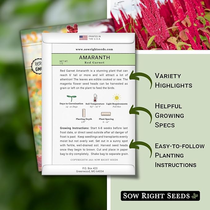 Sow Right Seeds - Red Garnet Amaranth Seeds for Planting - Non-GMO Heirloom Packet with Instructions to Plant & Grow an Outdoor Home Vegetable Garden - Colorful & Unique - Trailing Variety (2)