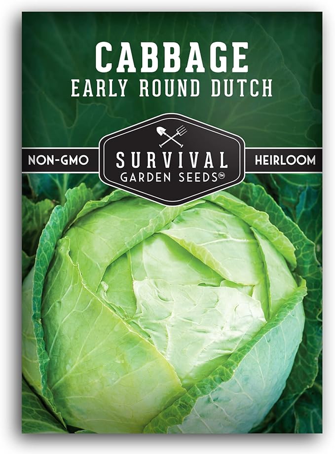 Survival Garden Seeds - Early Round Dutch Cabbage Seed for Planting - Packet with Instructions to Plant and Grow Green Cabbages in Your Home Vegetable Garden - Non-GMO Heirloom Variety