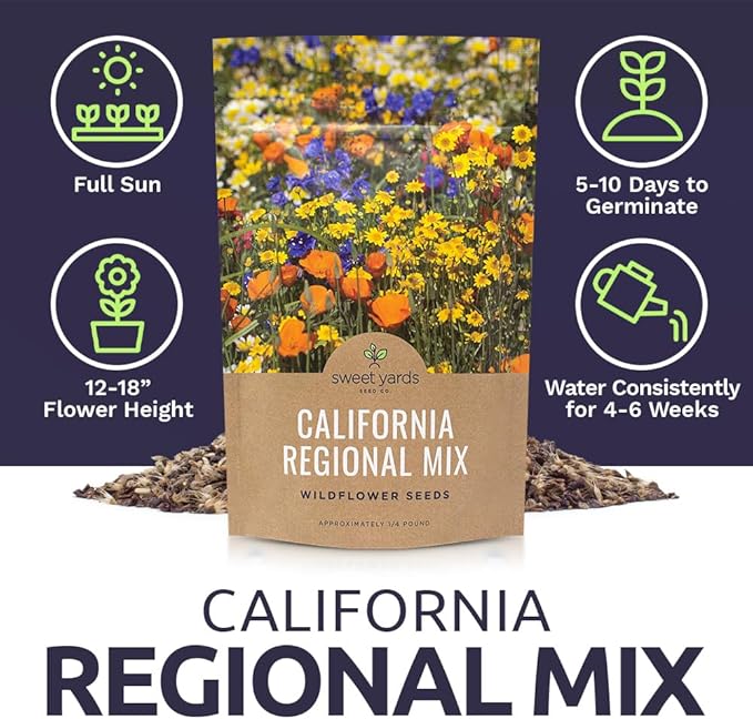 California Wildflower Mixture - Bulk 1/4 Pound Bag - Over 30,000 Native Seeds - Open Pollinated and Non GMO