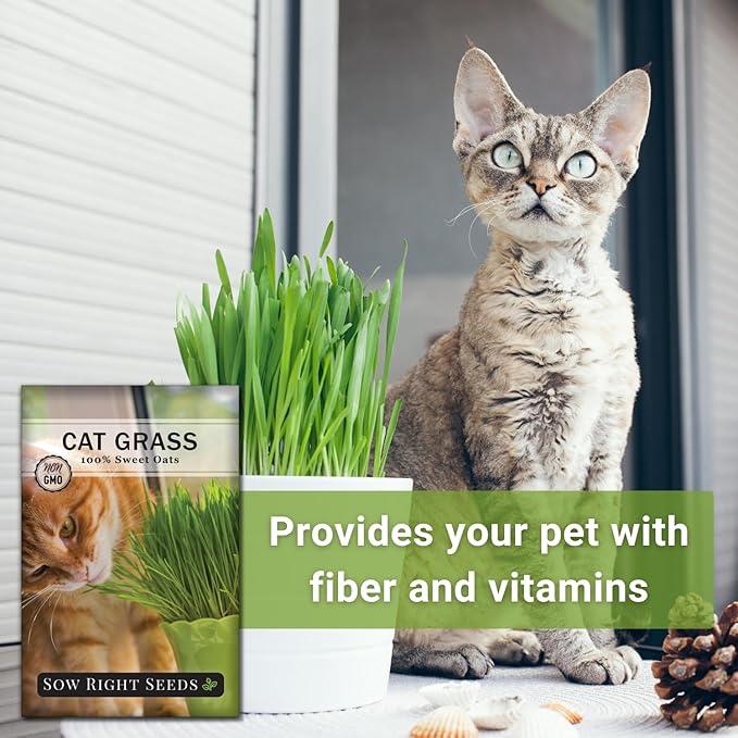 Sow Right Seeds - Cat Grass Seeds for Planting - 100% Sweet Oats - Non-GMO Heirloom Healthy Greens for Cats and Dogs - Easy to Grow - Safe & Natural Indoor Use - Ideal for Pet Lovers