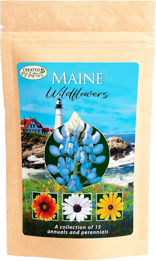 Created By Nature Maine Wildflower State Mix, 15 Flower Varieties, 50,000 Seeds